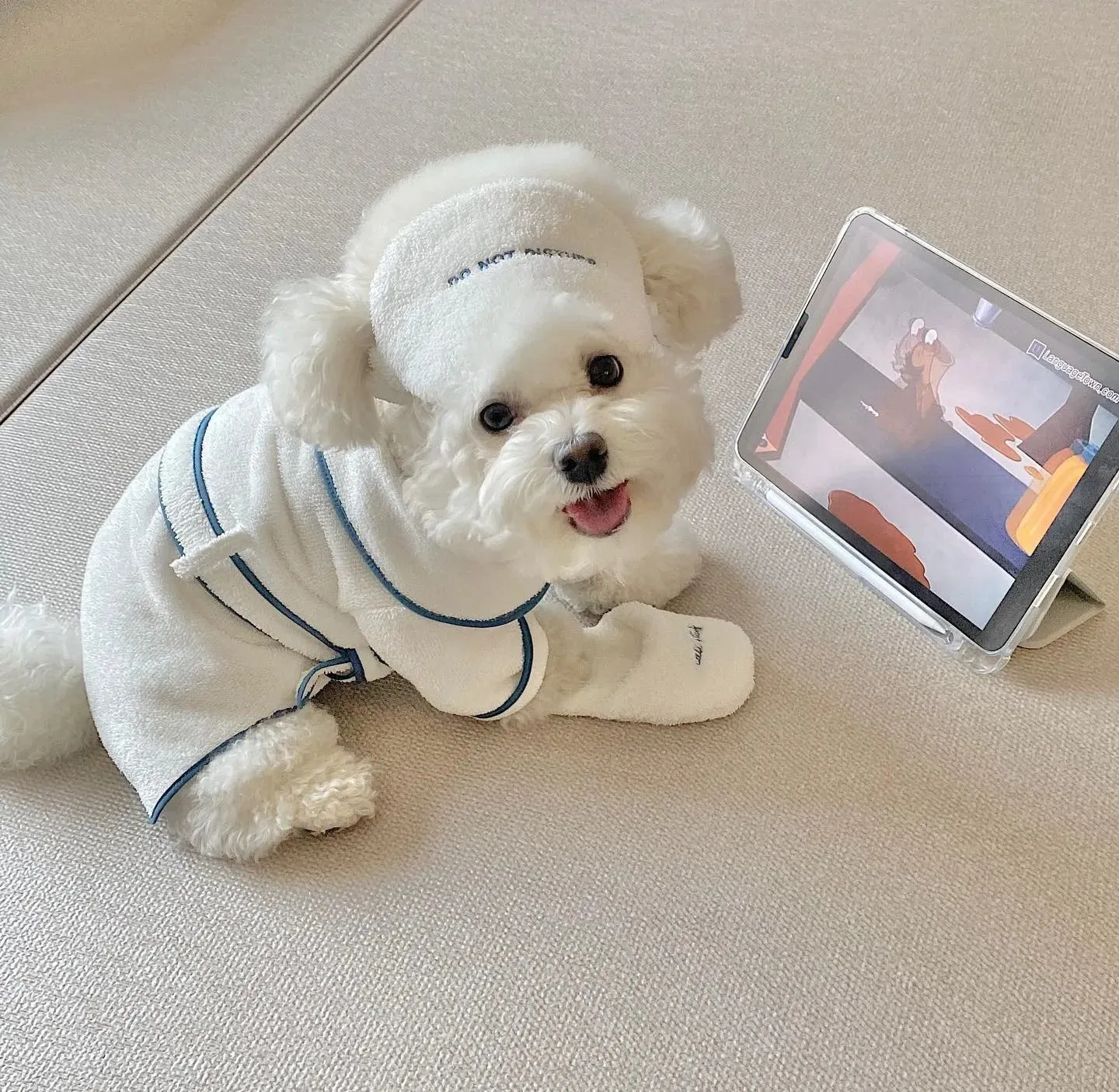 [Best for IG TT] Pawtel Deluxe Set Hotel Style Pet Clothes Slippers Eye Mask